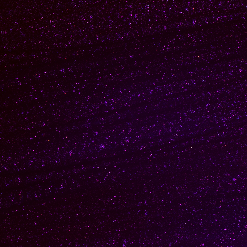 Andreia Verniz Hybrid Gel Fusion Color 10,5ml H29 - Image 2