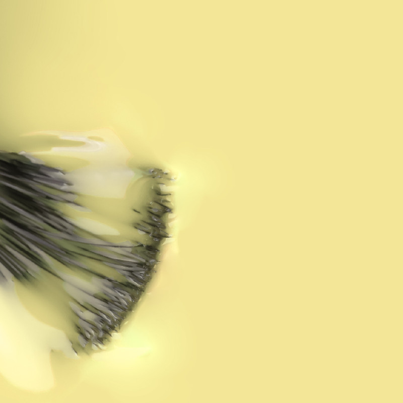 VERNIZ GEL INOCOS FLORA - GIRASSOL 15ML - Image 2